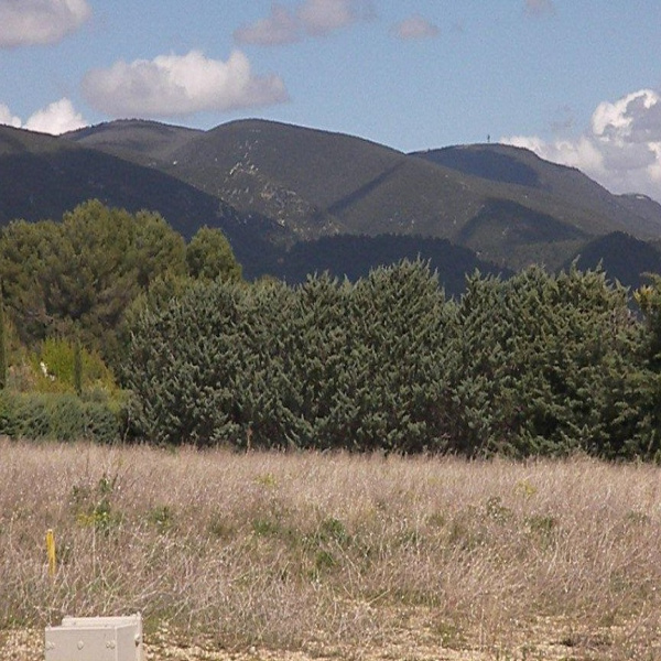 Offres de vente Terrain Puyvert 84160